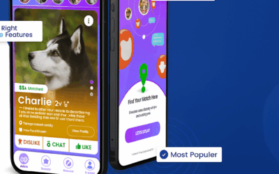 Crea tu propio negocio con una app de citas para mascotas: la tendencia más rentable del 2025